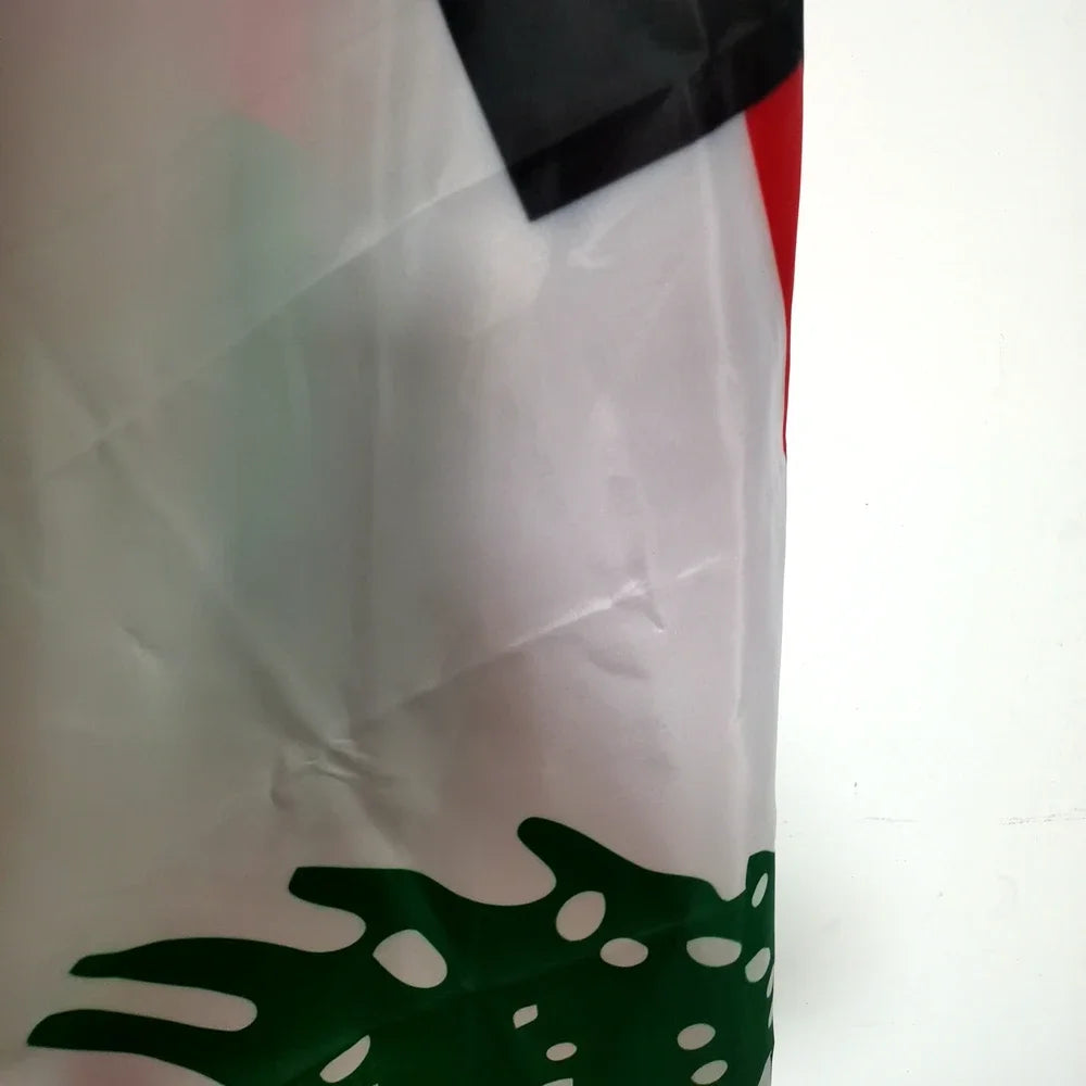 Palestine Lebanon Friendship Flag 2x3ft 3x5ft Durable Polyester Banner for Indoor Outdoor Decor Cultural Events Display